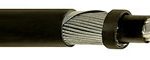 1629-05-002-re-2y-st-hswah-timf-