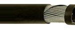 2602-41-002-re-yw-st-ywswayw-fl-timf-